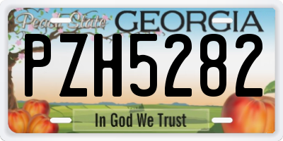 GA license plate PZH5282