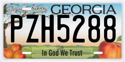 GA license plate PZH5288