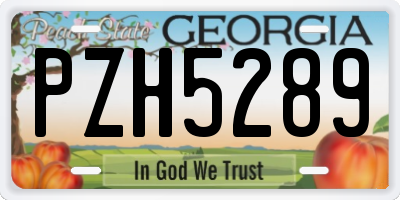 GA license plate PZH5289