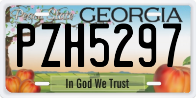 GA license plate PZH5297