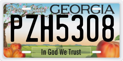 GA license plate PZH5308