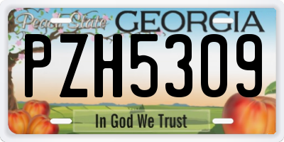 GA license plate PZH5309