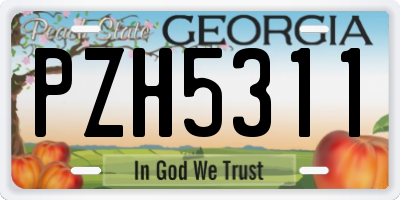 GA license plate PZH5311