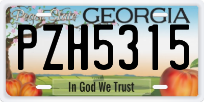 GA license plate PZH5315