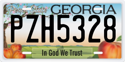GA license plate PZH5328
