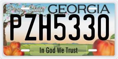 GA license plate PZH5330