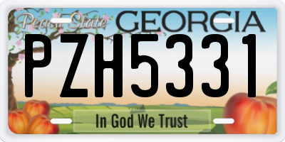GA license plate PZH5331