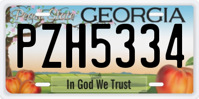 GA license plate PZH5334