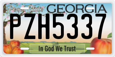 GA license plate PZH5337