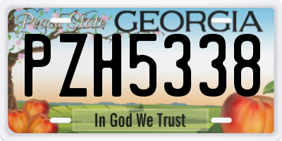 GA license plate PZH5338