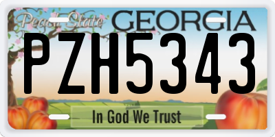 GA license plate PZH5343
