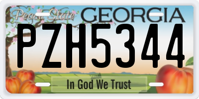 GA license plate PZH5344