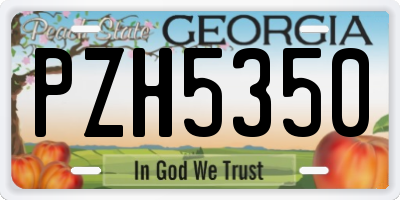 GA license plate PZH5350