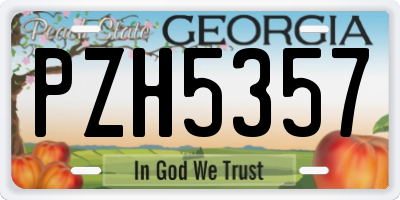 GA license plate PZH5357