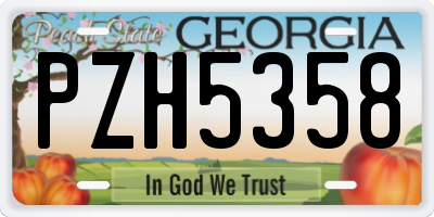 GA license plate PZH5358