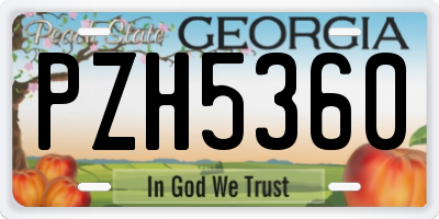 GA license plate PZH5360