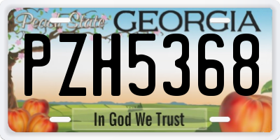 GA license plate PZH5368