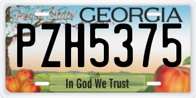 GA license plate PZH5375