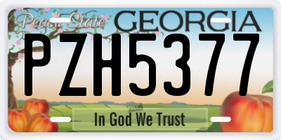 GA license plate PZH5377