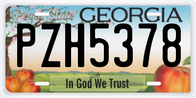 GA license plate PZH5378