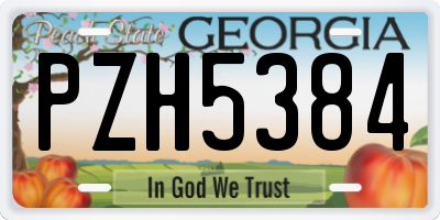 GA license plate PZH5384