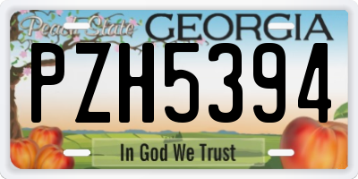 GA license plate PZH5394