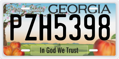 GA license plate PZH5398