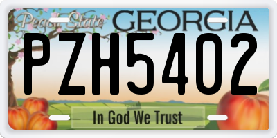 GA license plate PZH5402