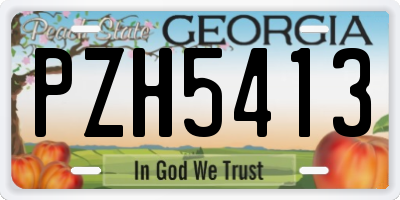 GA license plate PZH5413