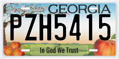 GA license plate PZH5415