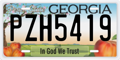 GA license plate PZH5419