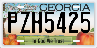 GA license plate PZH5425