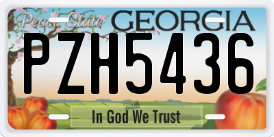 GA license plate PZH5436