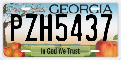 GA license plate PZH5437