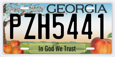 GA license plate PZH5441