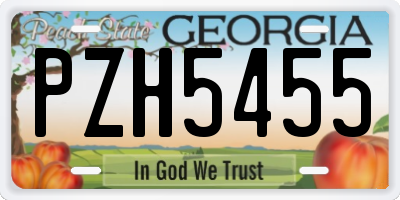 GA license plate PZH5455