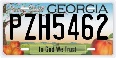 GA license plate PZH5462