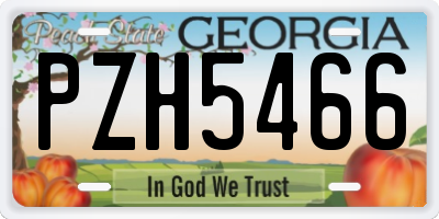 GA license plate PZH5466