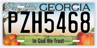 GA license plate PZH5468
