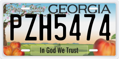 GA license plate PZH5474
