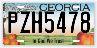 GA license plate PZH5478