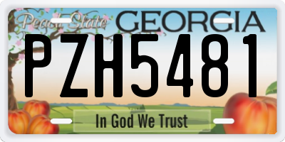 GA license plate PZH5481