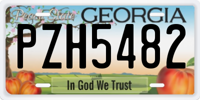 GA license plate PZH5482