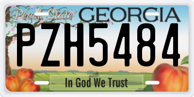 GA license plate PZH5484