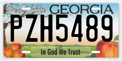 GA license plate PZH5489
