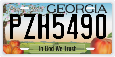 GA license plate PZH5490