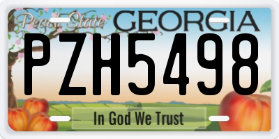 GA license plate PZH5498