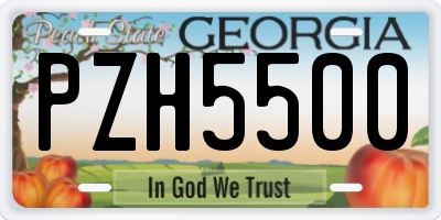 GA license plate PZH5500