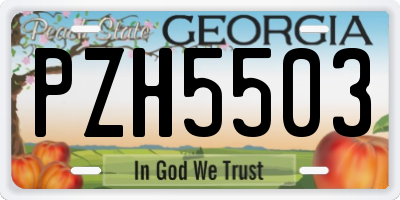 GA license plate PZH5503