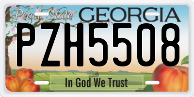 GA license plate PZH5508